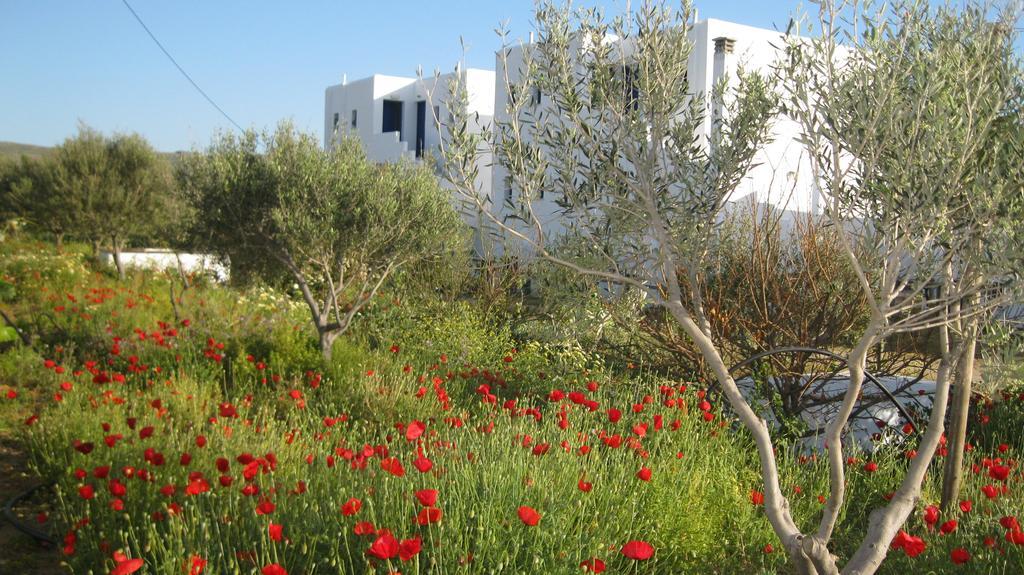 Aronis Plaka Naxos Apartment Exterior foto